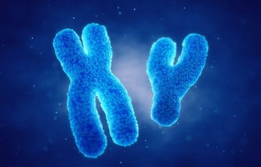Chromosomes - Institut Pasteur