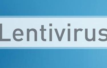 Lentivirus - Institut Pasteur