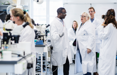 Diversity, Equity, and Inclusion at the Institut Pasteur