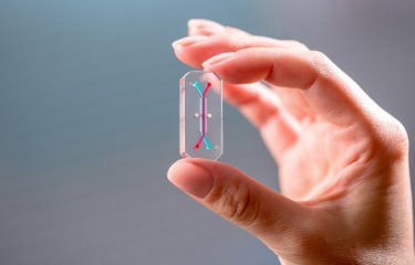 Emulate - Organ-on-chip