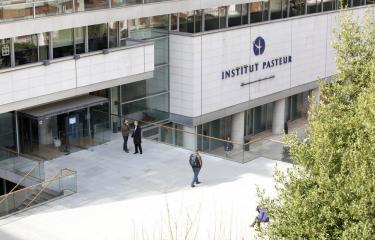 Parvis du CIS - Institut Pasteur