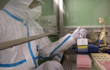'Inserm et l'Institut Pasteur identifient une nouvelle variante du virus Ebola en Guinée