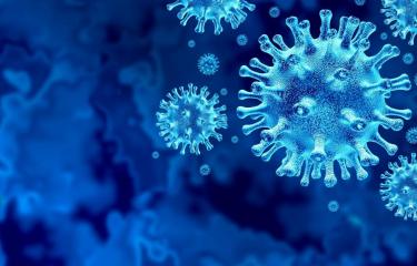 Une équipe internationale de chercheurs a identifié des vulnérabilités communes aux coronavirus SARS-CoV-2, SARS-CoV-1 et MERS-CoV 