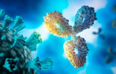 système immunitaire