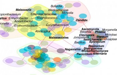 Comment le microbiome des voies respiratoires influence la gravité des pneumonies bactériennes