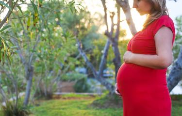 Zika : une estimation précise des risques neurologiques chez les enfants à naître