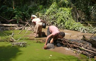Colloque du Réseau francophone sur les maladies tropicales négligées :  plaidoyer en faveur d’une approche intégrée du diagnostic