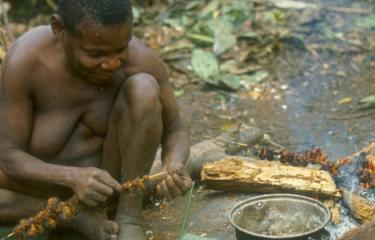 Pygmée Aka, République centrafricaine
