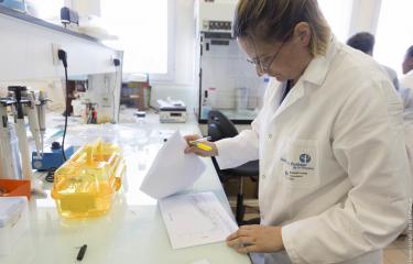 CNR Arbovirus - Institut Pasteur de la Guyane