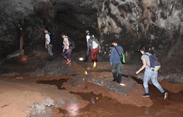 Cours - Entomologie médicale - Institut Pasteur - Laos