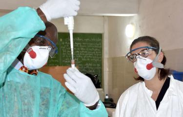 Institut Pasteur de Guinée : une formation « One Health »  pour renforcer l’expertise locale