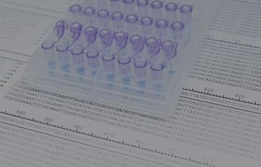 ADN - DNA - Institut Pasteur