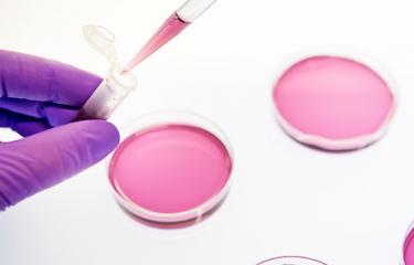 Task force SARS-CoV-2 - Institut Pasteur
