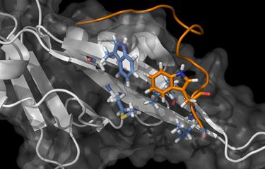Task force SARS-CoV-2 - Institut Pasteur