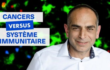 Vidéo de microscopie - Système immunitaire VS cancer