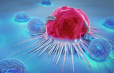 Task force SARS-CoV-2 - Institut Pasteur