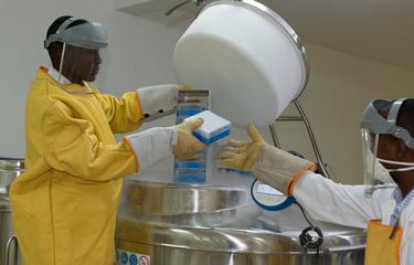 Task force SARS-CoV-2 - Institut Pasteur