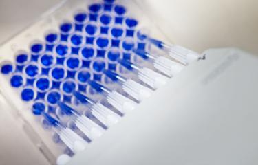 Task force SARS-CoV-2 - Institut Pasteur