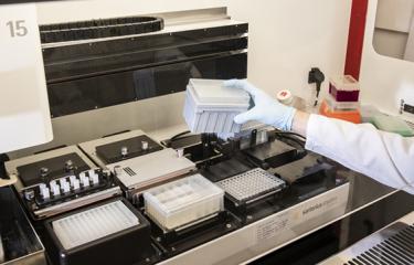 Task force SARS-CoV-2 - Institut Pasteur