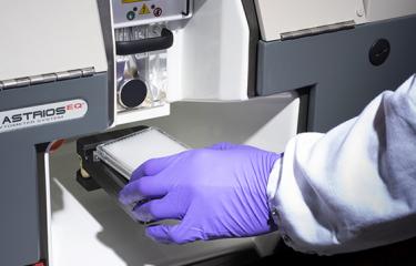 Task Force Coronavirus - Institut Pasteur 2020