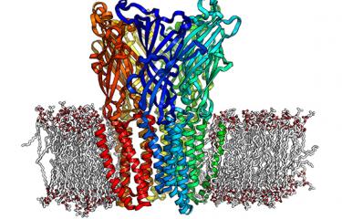 Task Force Coronavirus - Institut Pasteur - 2020