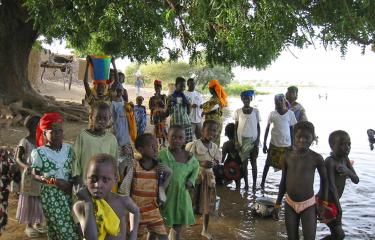 niger - Institut Pasteur