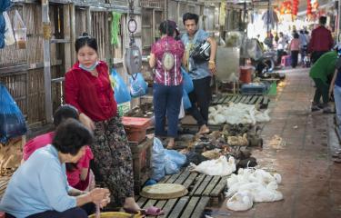 Marché aux volailles d'Orussey - Institut Pasteur du Cambodge