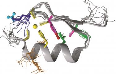 Biologie structurale - Institut Pasteur