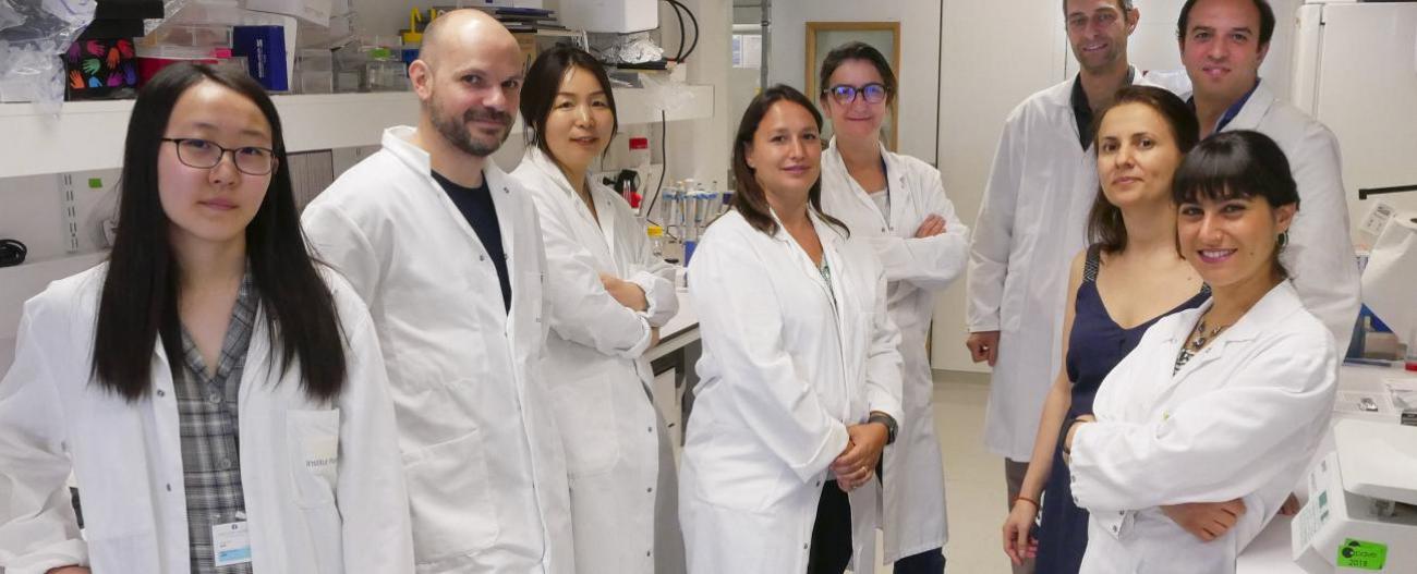 Plateforme de Bioimagerie Photonique - Institut Pasteur Plateforme de Bioimagerie Photonique - Institut Pasteur