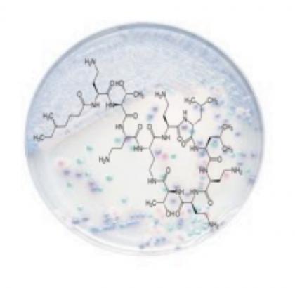 Image 3 MICROBIOLOGIE 2019-2020 Image 3 MICROBIOLOGIE 2019-2020