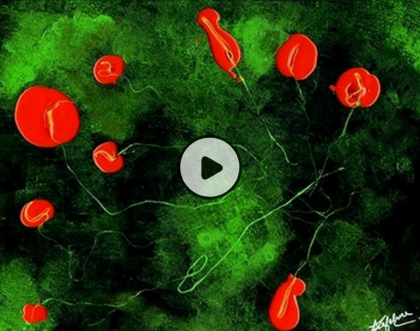 Mooc From neuron to behavior - Institut Pasteur/Cnam