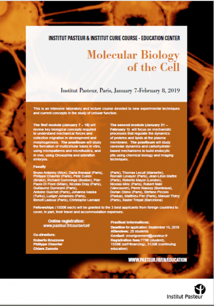 Flyer MOLECULAR BIOLOGY CELL 2018-2019 Flyer MOLECULAR BIOLOGY CELL 2018-2019