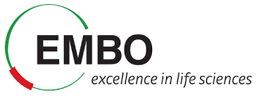 Logo EMBO Logo EMBO